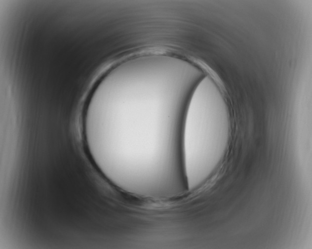 X0000099981083200805231018