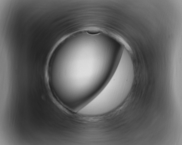 X0000099981084200805231018