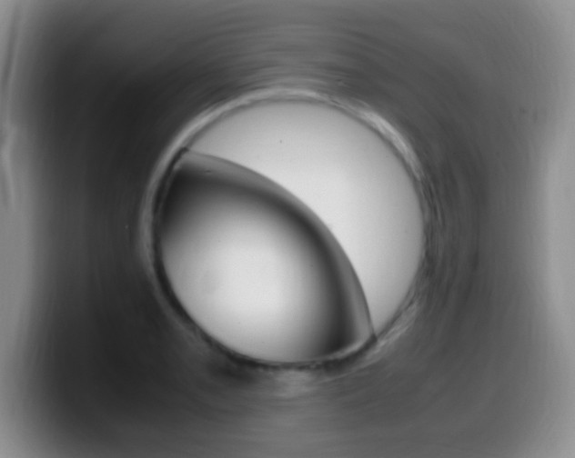 X0000099981085200805231018