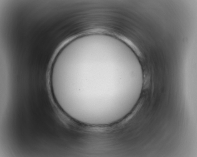 X0000099981086200805231018