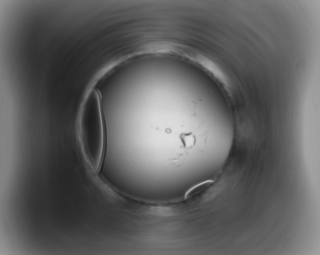 X0000099981088200805231018