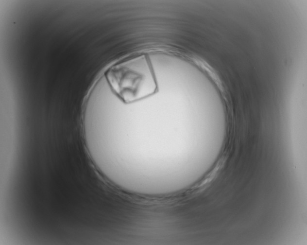 X0000099981089200805231018
