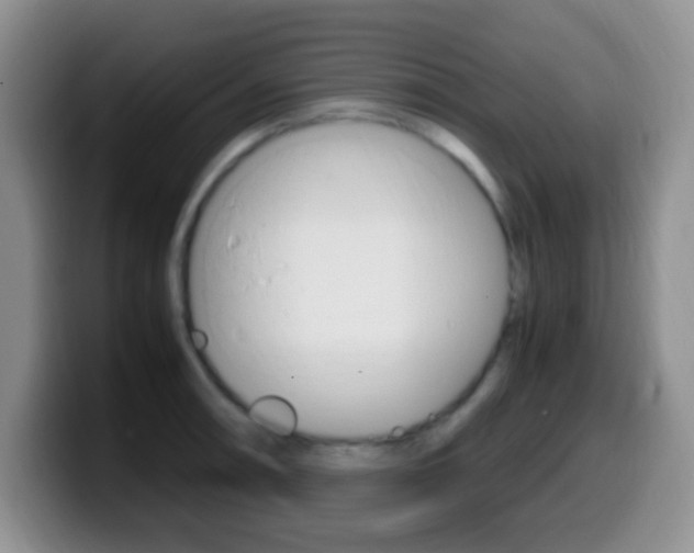 X0000099981090200805231018