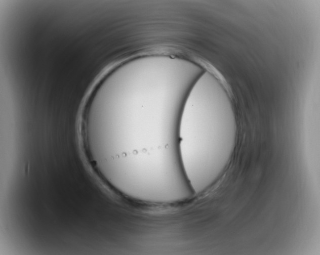 X0000099981091200805231018