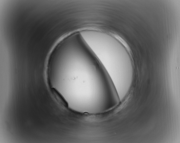 X0000099981093200805231018