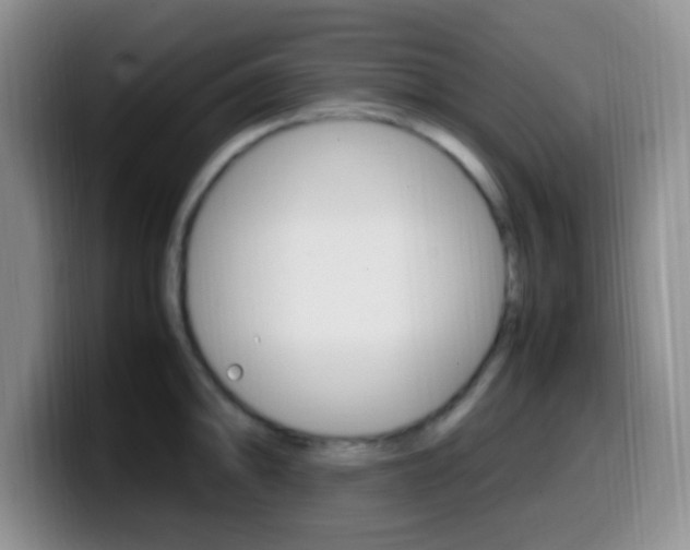 X0000099981094200805231018