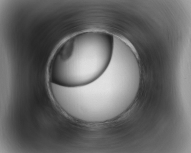 X0000099981096200805231018