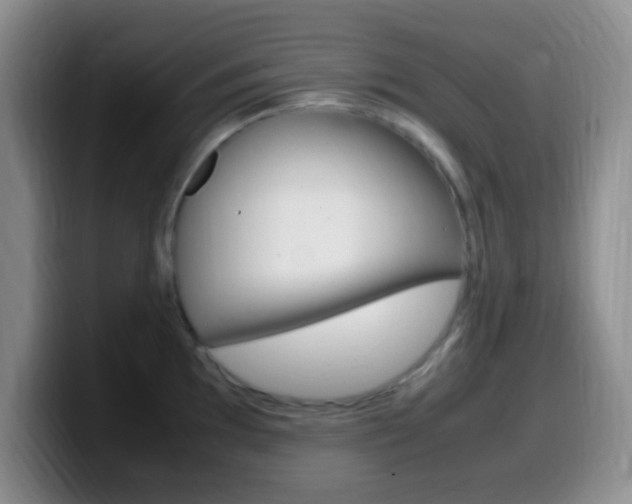 X0000099981097200805231018