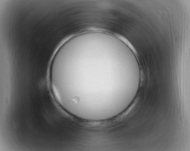 X0000099981098200805231018