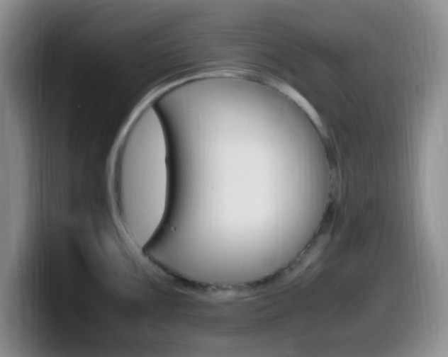 X0000099981099200805231018