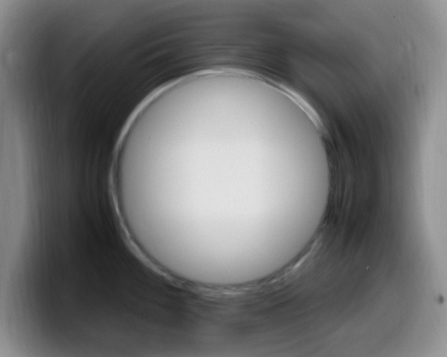 X0000099981100200805231018
