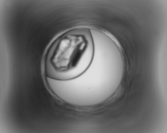 X0000099981101200805231018