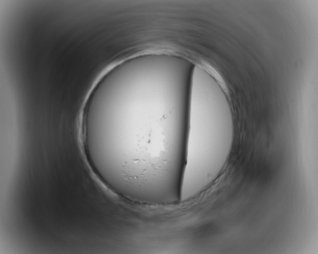 X0000099981103200805231018