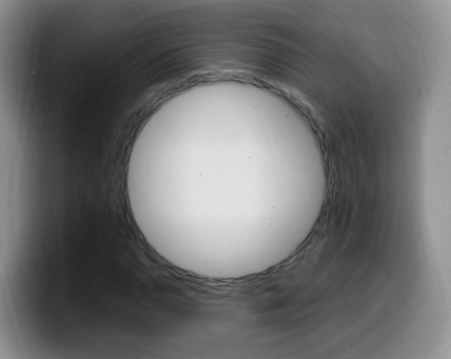 X0000099981110200805231017