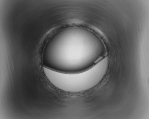 X0000099981112200805231017