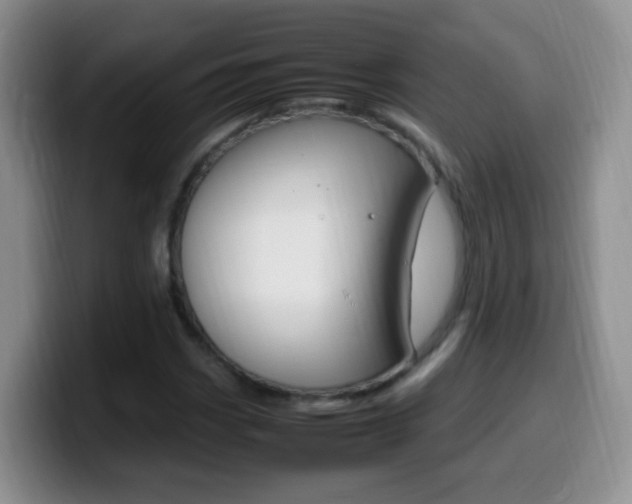 X0000099981113200805231017