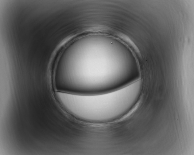 X0000099981114200805231017