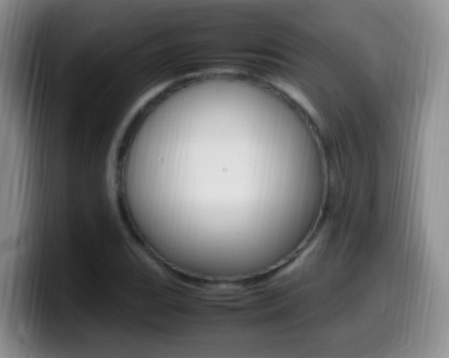 X0000099981119200805231017