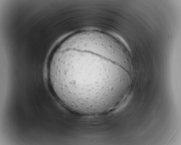X0000099981125200805231017