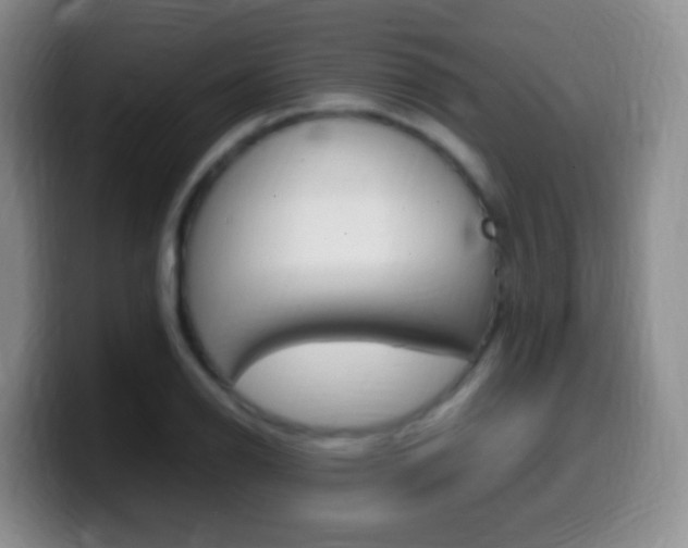 X0000099981126200805231017