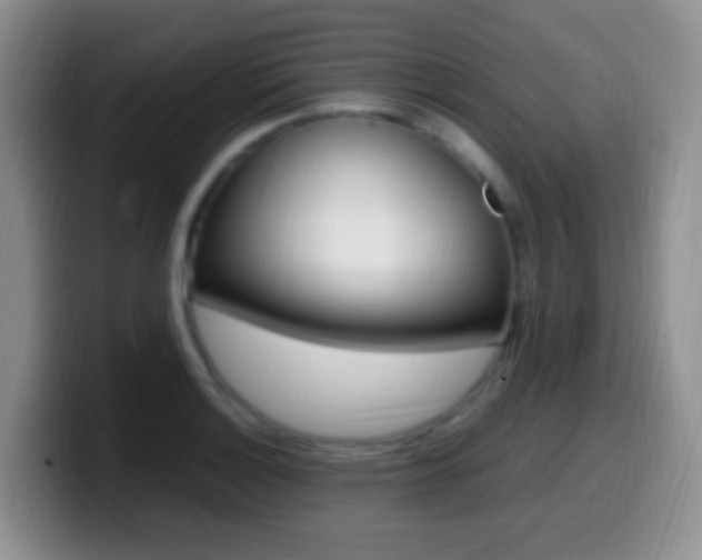 X0000099981132200805231017