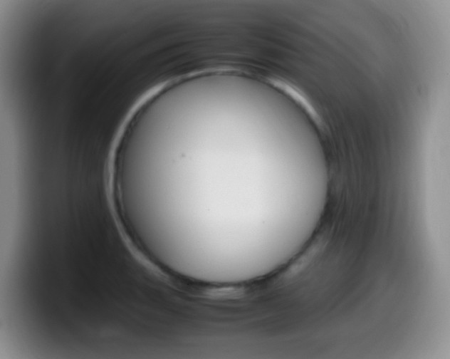 X0000099981135200805231017