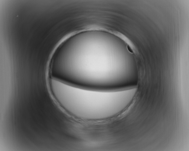 X0000099981142200805231018