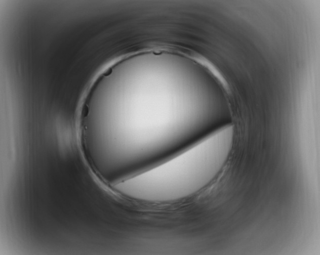 X0000099981143200805231018