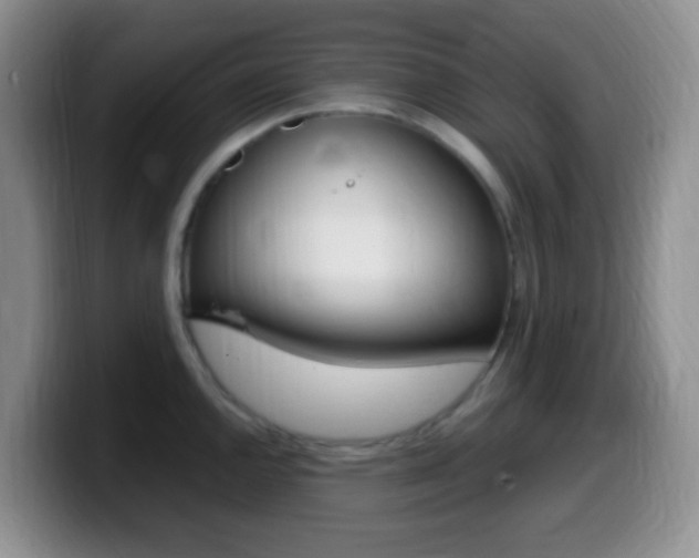 X0000099981144200805231018