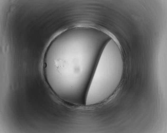 X0000099981146200805231018