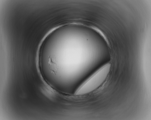 X0000099981147200805231018