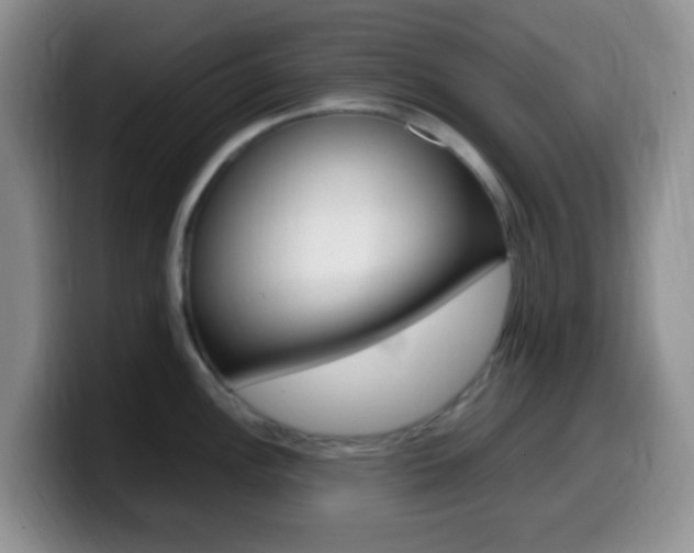 X0000099981148200805231018