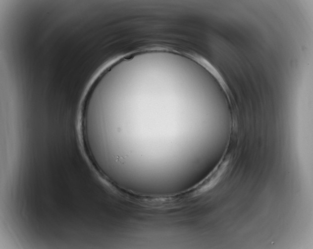 X0000099981149200805231018