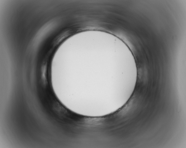 X0000099981150200805231018