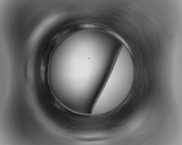 X0000099981151200805231018