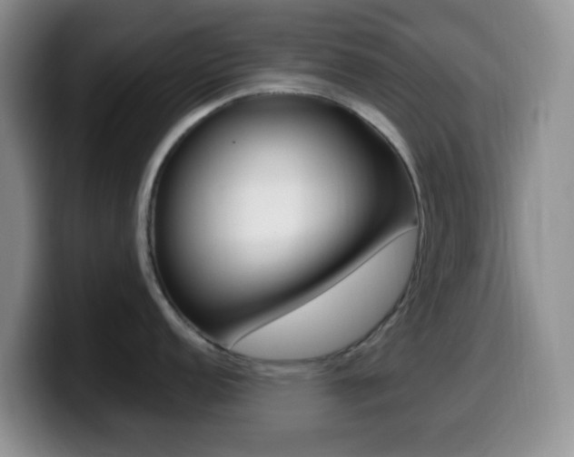 X0000099981152200805231018