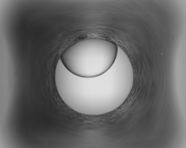 X0000099981153200805231017