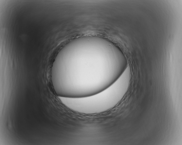 X0000099981157200805231017