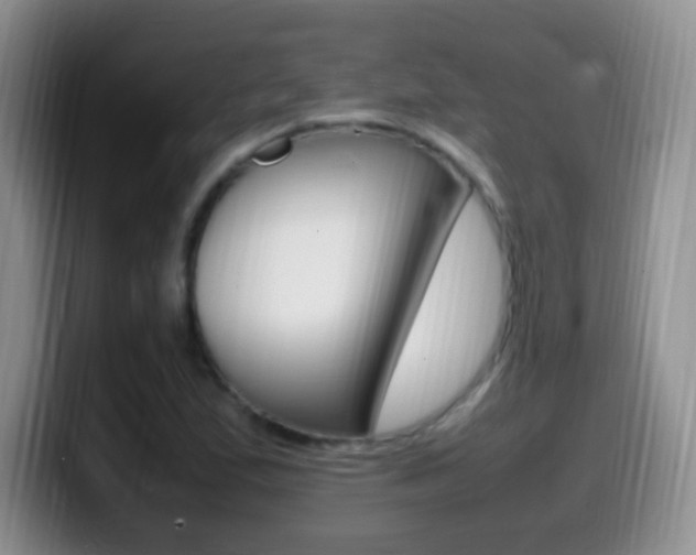 X0000099981167200805231017