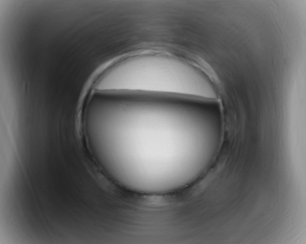 X0000099981172200805231017