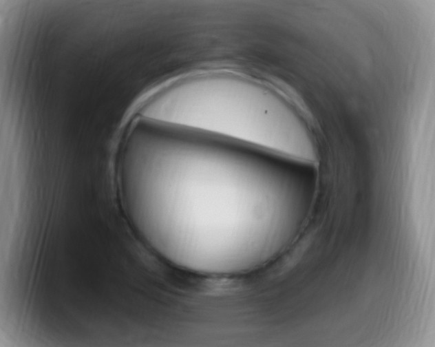 X0000099981176200805231017