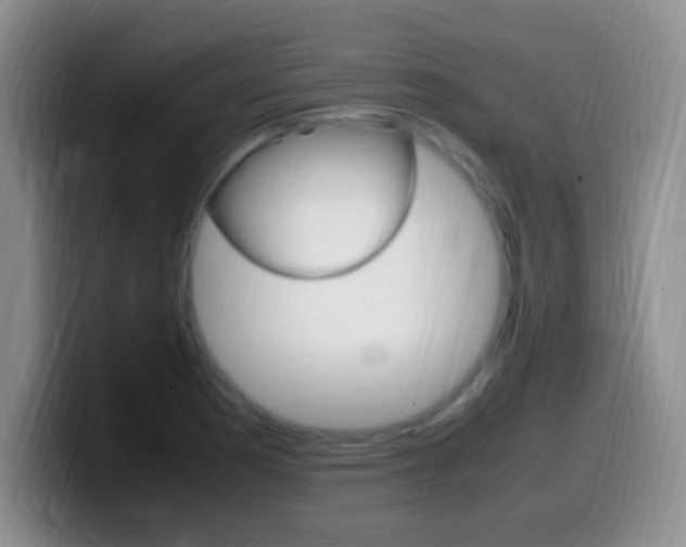 X0000099981177200805231017