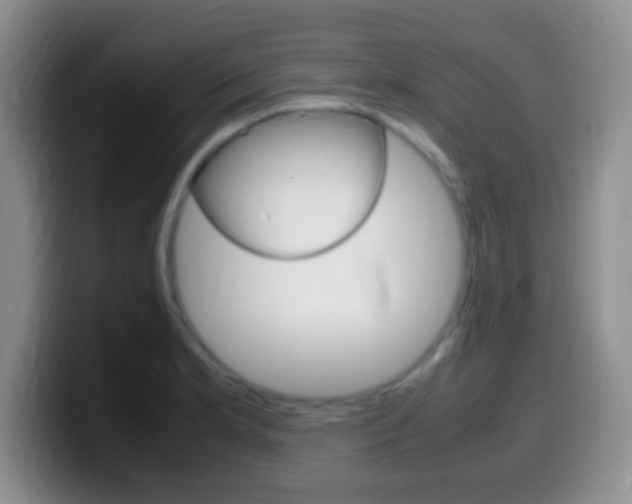 X0000099981181200805231017