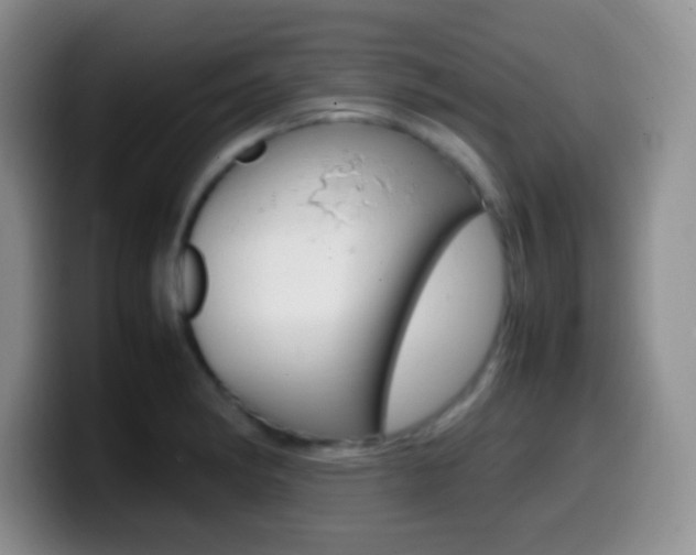 X0000099981182200805231017