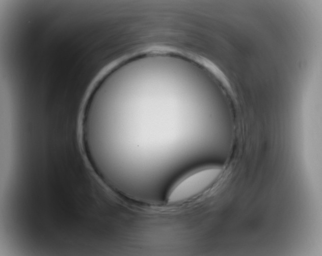 X0000099981183200805231017
