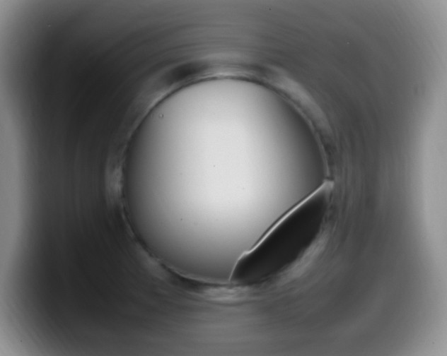 X0000099981185200805231017