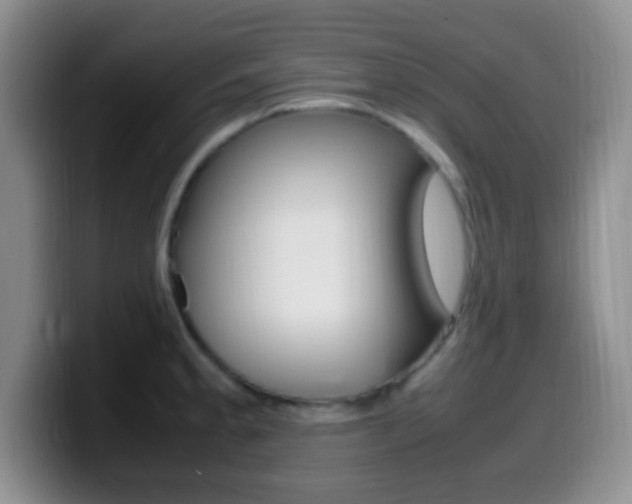 X0000099981189200805231017