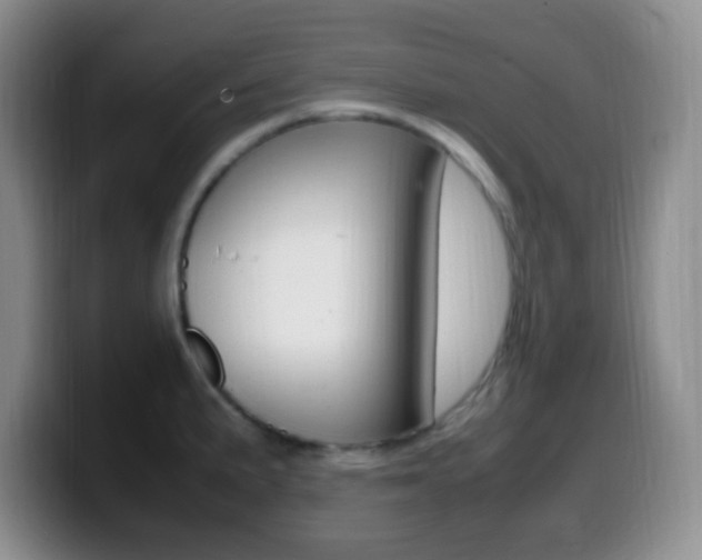 X0000099981191200805231016