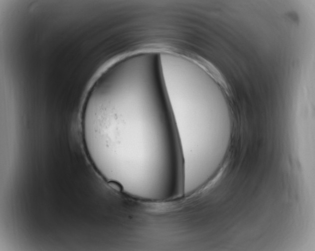 X0000099981192200805231016