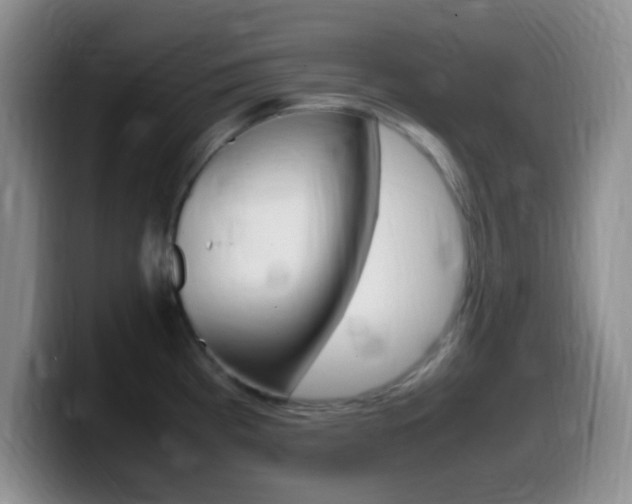 X0000099981193200805231016